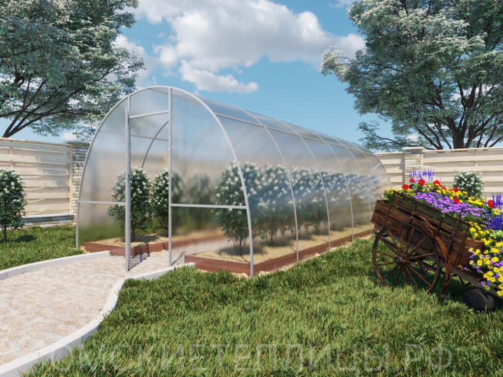 Теплица «Эко» — фото